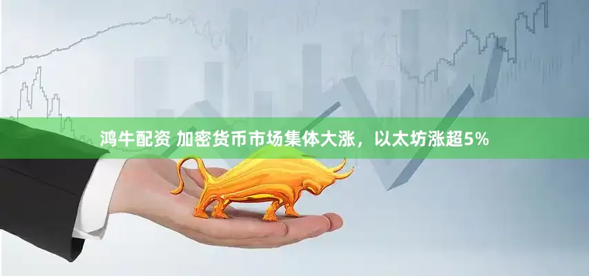 鸿牛配资 加密货币市场集体大涨，以太坊涨超5%