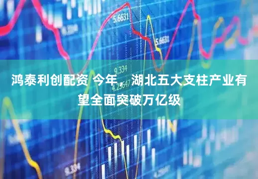 鸿泰利创配资 今年，湖北五大支柱产业有望全面突破万亿级