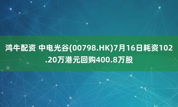 鸿牛配资 中电光谷(00798.HK)7月16日耗资102.20万港元回购400.8万股