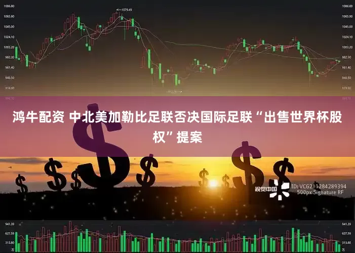 鸿牛配资 中北美加勒比足联否决国际足联“出售世界杯股权”提案