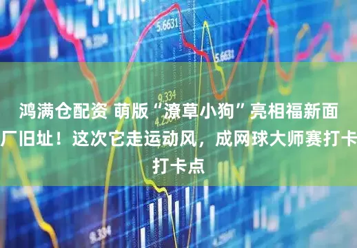 鸿满仓配资 萌版“潦草小狗”亮相福新面粉厂旧址！这次它走运动风，成网球大师赛打卡点